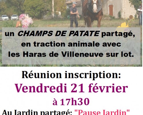 proj haras 2